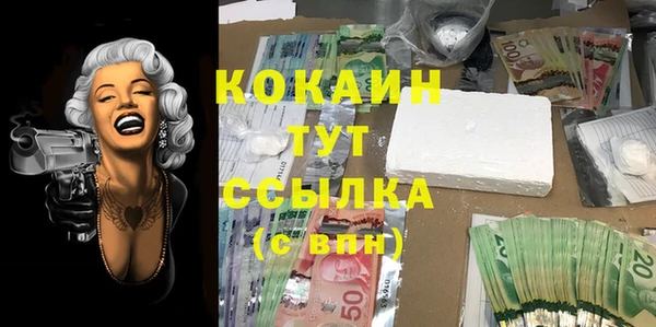 молекула духа Корсаков