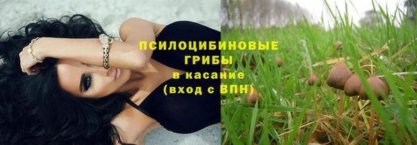 прущие крисы Костерёво