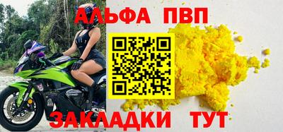 крисы Кингисепп