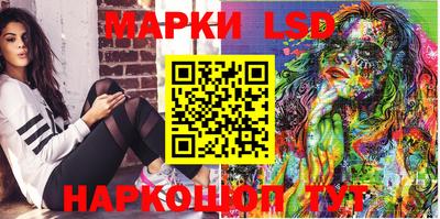 крисы Кингисепп