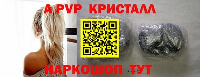 крисы Кингисепп
