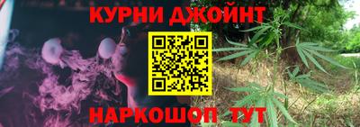 крисы Кингисепп