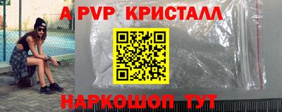 крисы Кингисепп
