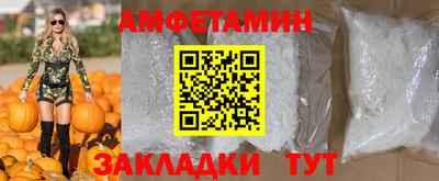 крисы Кингисепп